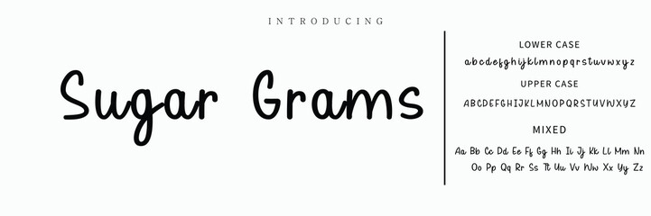 signature Font Calligraphy Logotype Script Brush Font Type Font lettering handwritten