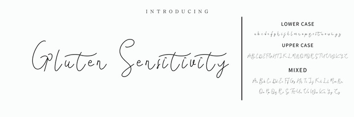 signature Font Calligraphy Logotype Script Brush Font Type Font lettering handwritten