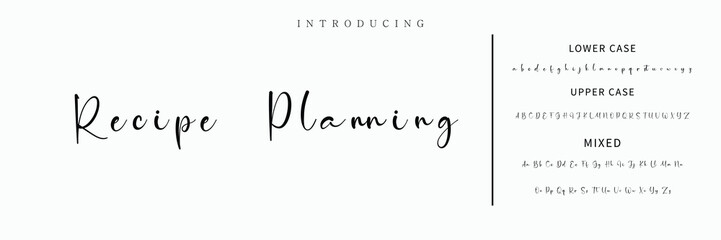 signature Font Calligraphy Logotype Script Brush Font Type Font lettering handwritten