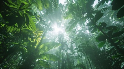 Obraz premium Sun bursts through dense forest canopy, low angle view, green foliage, sun rays.