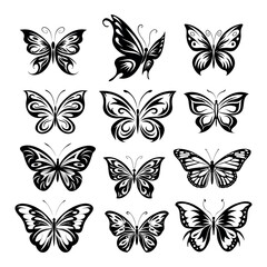 collection of butterflies