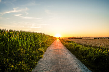 Fototapeta premium Path through the field in the Möhnetal as the sun sets 