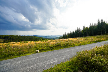 Landscape at the Loermecke tower near Meschede. Nature in the Sauerland.