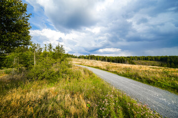 Landscape at the Loermecke tower near Meschede. Nature in the Sauerland.