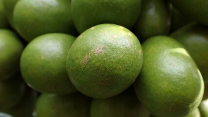 The Pometia pinnata common names, including Matoa, Taun tree, Island lychee, Tava, and Pacific lychee