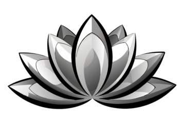 Silver lotus flower water lily. Isolated blooming chromed silver lotus flower. Water lily meaning purity, peaceful mind, calm and wisdom.