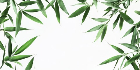 Obraz premium Isolated bamboo leaves create a tranquil and serene aesthetic, showcasing the beauty and versatility of bamboo leaves while adding a touch of nature to your designs featuring bamboo leaves.