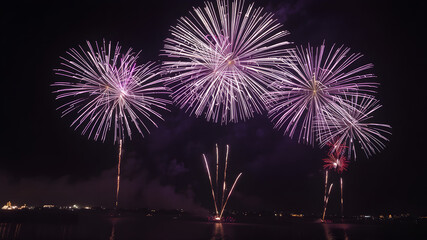 fireworks over the river