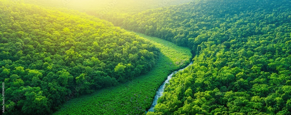 Poster aerial view forest idea. aerial view of a lush green forest with a winding river flowing through the