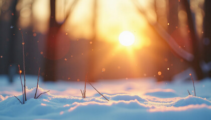 Winter Sunset Snowscape: A Peaceful Winter Scene