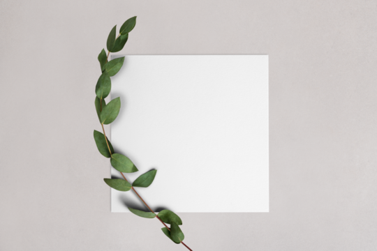 PNG invitation card mockup transparent