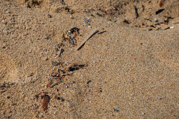 Micro plastic on a beautiful sandy beach of Gallura region in northern Sardinia, Italy
