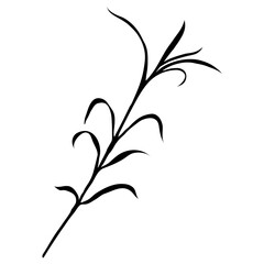 Leaf silhouette png plant clipart, transparent background