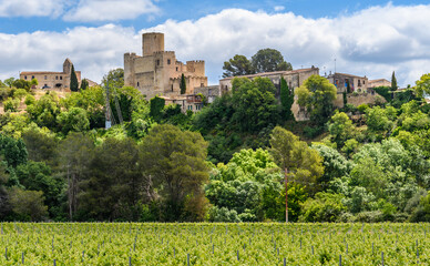 Castle of Castellet and Vinyeards near Foix Reservoir, Catalonia, Spain