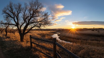Obraz premium Serene Sunset Over Meadow with Bare Trees and Stream Reflection