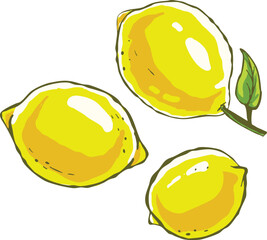 Botanical and Minimalist, Juicy Lemon Illustration Pack.