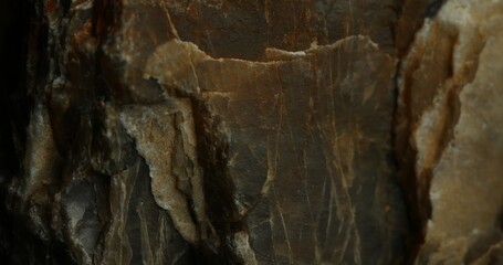 Close-Up of Dark, Layered Rock Surface with Natural Patterns