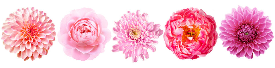 PNG Vibrant pink floral arrangement, element set on transparent background