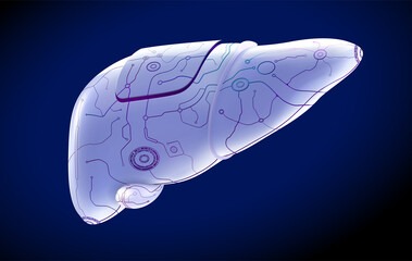 3D illustration of human liver organ in mechanical form on dark blue background presents the future human organ. It is used in medicine, education, science, advertising and industry.