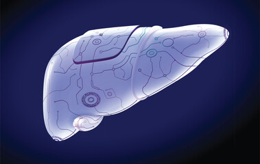 3D illustration of human liver organ in mechanical form on dark blue background presents the future human organ. It is used in medicine, education, science, advertising and industry.