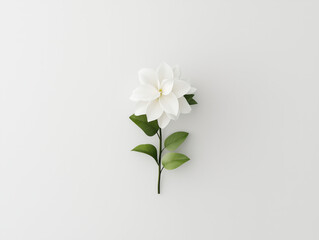 Obraz premium Gardenia Blooms Against a Crisp White Background: A Stunning Visual Experience
