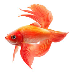 Fototapeta premium Simple fish icon featuring streamlined fins and a flowing tail, designed with a transparent background for versatile use.