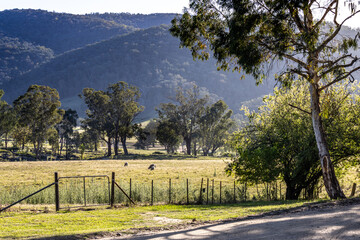 Australian country landscape