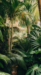 Fototapeta premium Lush tropical foliage path.