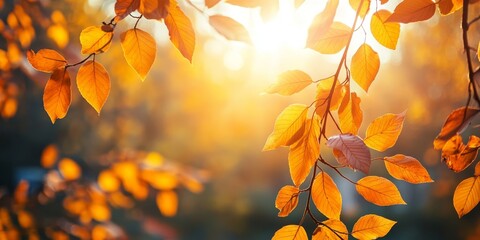 Autumn forest showcases a sunny day, creating a beautiful nature background. The vibrant autumn forest features striking yellow and orange foliage adorning the twigs.