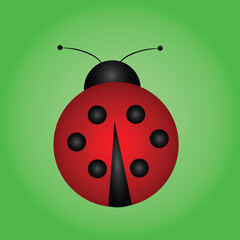 Vector illustration of ledybug on green background