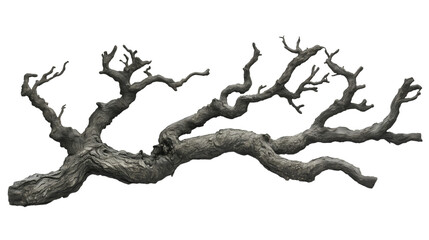 Natural Bark Patterns and old Branch Structure