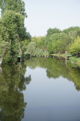 Obraz premium river in the park with trees reflecting
