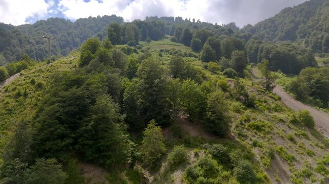 Aerial view of the green mountainous landscape with lush forest around Gabala city