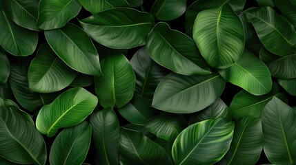 Foliage abstract background concept. A dense arrangement of green leaves creating a vibrant natural backdrop.