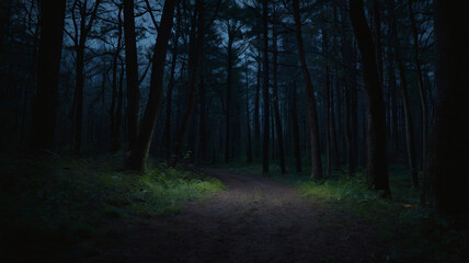 Fototapeta premium Dark Forest Path at Night