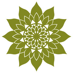 illustration of a flower