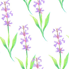 Purple flowers wax crayons seamless pattern on white isolated background. Textural and botanical repeating pattern. Design for textiles, wrapping paper and wallpaper.