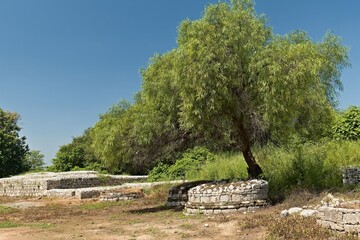View of the ruins of the ancient city of Taxila, UNESCO World Heritage site. Province of Punjab. Pakistan. Asia.