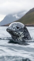 Fototapeta premium Spotted seal swimming in tranquil waters near rugged mountains at dusk mobile phone wallpaper