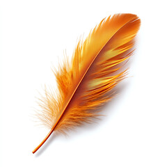 Fototapeta premium Vibrant orange feather with intricate details on a white isolated background.