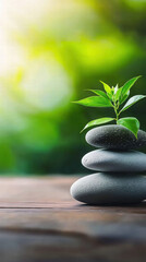 Obraz premium Relaxation self-care wellness. A plant sprouting from stacked stones on a wooden surface.