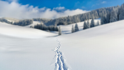 Footprints in the new deep snow on the wall in the mountains, a walk in the sun and snow.