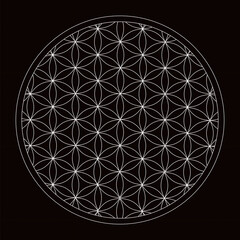 Naklejka premium Flower of Life Geometric Pattern Vector Illustration