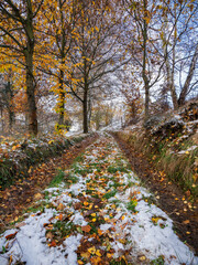 On the path from autumn to winter - .Auf dem Weg vom Herbst in den Winter