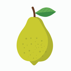 lemon fruit fresh organic icon isolated






