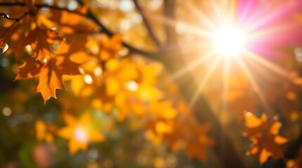A high-resolution stock photo depicting bright lens flare in warm autumn colors, earthy and cozy tones, light streaks and vibrant hues, commercial quality, focusing on health.