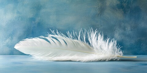 Close up of a white down feather displayed against a blue background, highlighting the delicate texture and softness of the white down feather for a striking visual appeal.