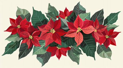 red poinsettia isolated on white