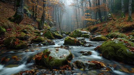 A serene mountain stream flowing through a dense forest, with moss-covered rocks and fallen leaves