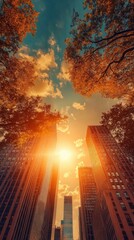 Obraz premium Golden sunlight filters through towering buildings, illuminating the cityscape while autumn leaves create a vibrant contrast against the skyline